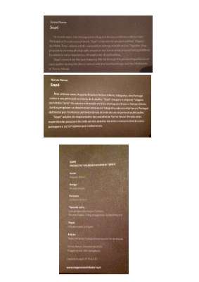 SAMPLE TRANSLATION - PT - ENG.pdf