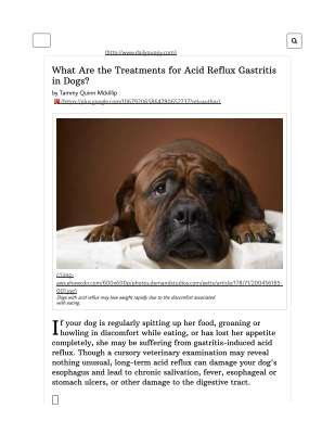 Article 2 Treatments for Acid Reflux in Dogs.pdf