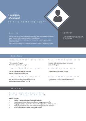 Sales & Marketing Agent CV.pdf