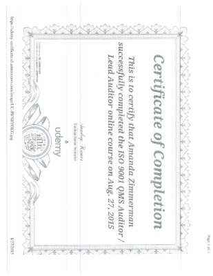 Auditor Certification.pdf