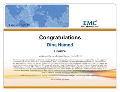 excelence service.pdf