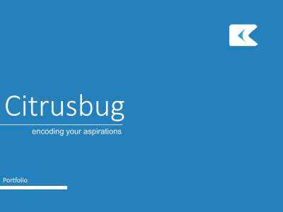 Citrusbug Portfolio.pdf