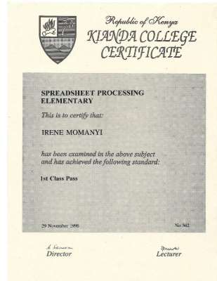 SPREADSHEET PROCESSING.pdf