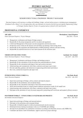 CV - Pedro Moniz [EN] - 13-11-2016.pdf