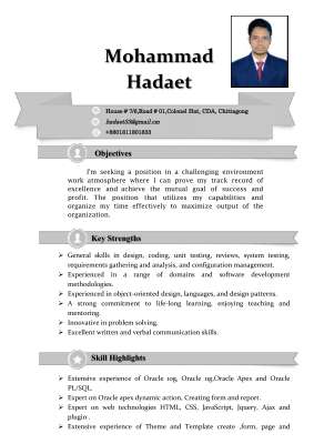 abed hadaet resume.pdf