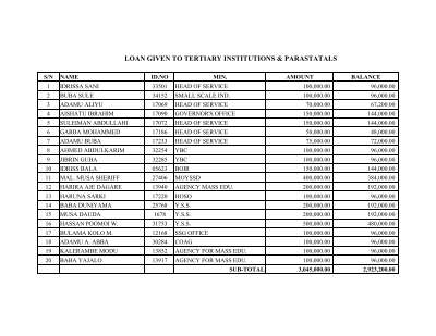 Loan Database (MS Excel).pdf