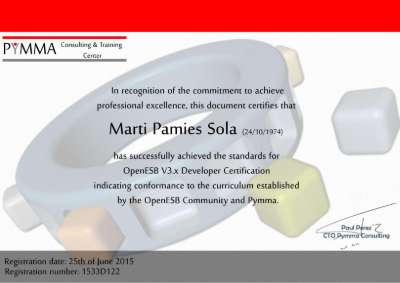 OE_Marti Pamies Sola.pdf