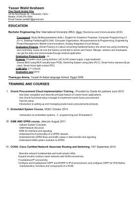 Yasser Walid_CV .pdf