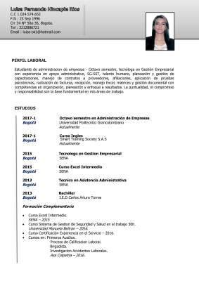 Hoja de Vida Luisa Hincapie17.pdf