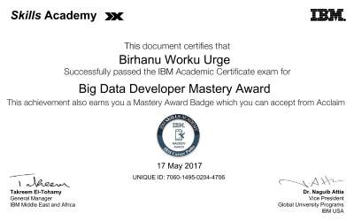 Big Data Developer Mastery Award_certificate.pdf