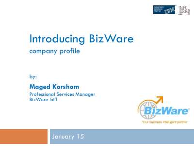 BizWare Company Profile.pdf
