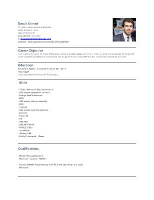 Emad-Ahmed-Abdelhamed.pdf