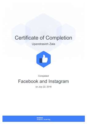 Facebook and Instagram_ Blueprint.pdf