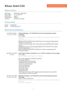 Oracle_Project _manager_cv.pdf