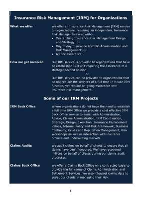 Insurance Risk Management Consulting.pdf