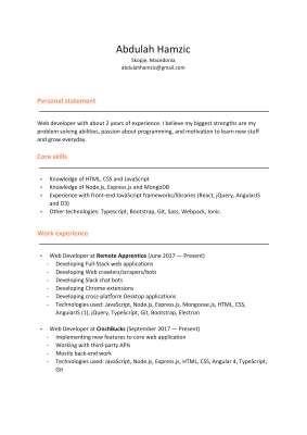 Abdulah Hamzic CV.docx (1).pdf