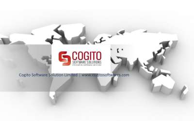 Cogito Software Digital Marketing Solution (case study) - Copy.pdf
