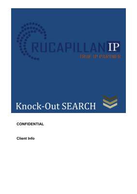 Knock out Search_Sample.pdf
