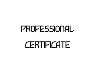 Prof Certificate.pdf