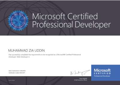 Web Developer 4.0.pdf