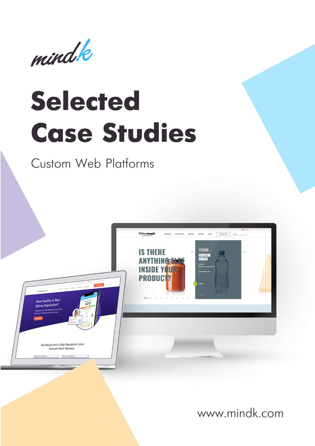MindK-Cases by Expertise-Custom-web-portals.pdf