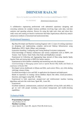 Curriculam_Vitae.pdf