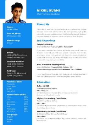 Resume(Nikhil).pdf