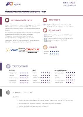 01-Sofiene SALEM.pdf