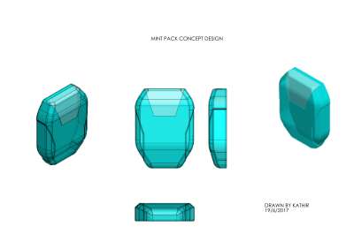 MINT PACK TYPE 1 CONCEPT 2D.PDF