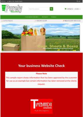 website check example.pdf