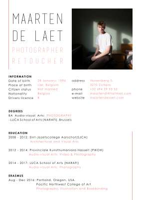 CV_MaartenDeLaet.pdf