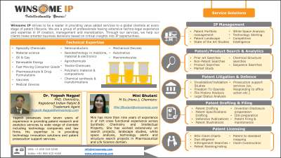 Winsome IP - Introduction & Services Overview (2).pdf