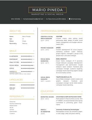 CV_MarioPineda_English.pdf