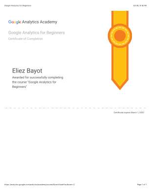 Google Analytics for Beginners.pdf