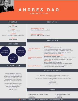 CV Andres Dao 2018 April.pdf