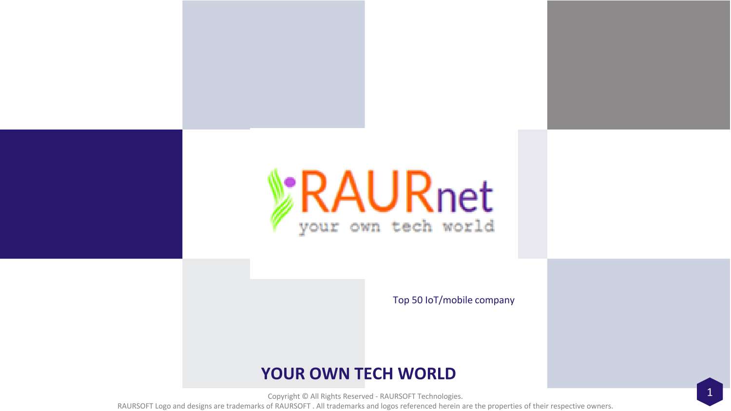 RAURSOFT_Portfolio_Apps.pdf