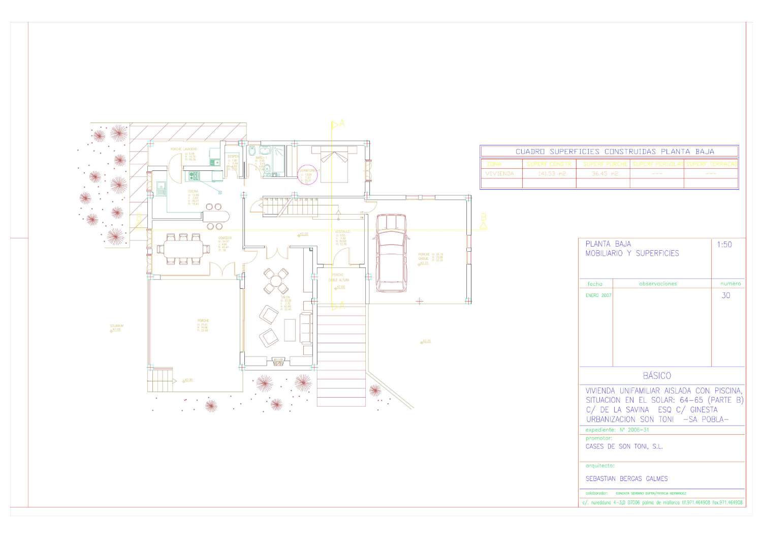 2006-31-BASICO(06-02-07)CONCHIadaptadoplanta.pdf