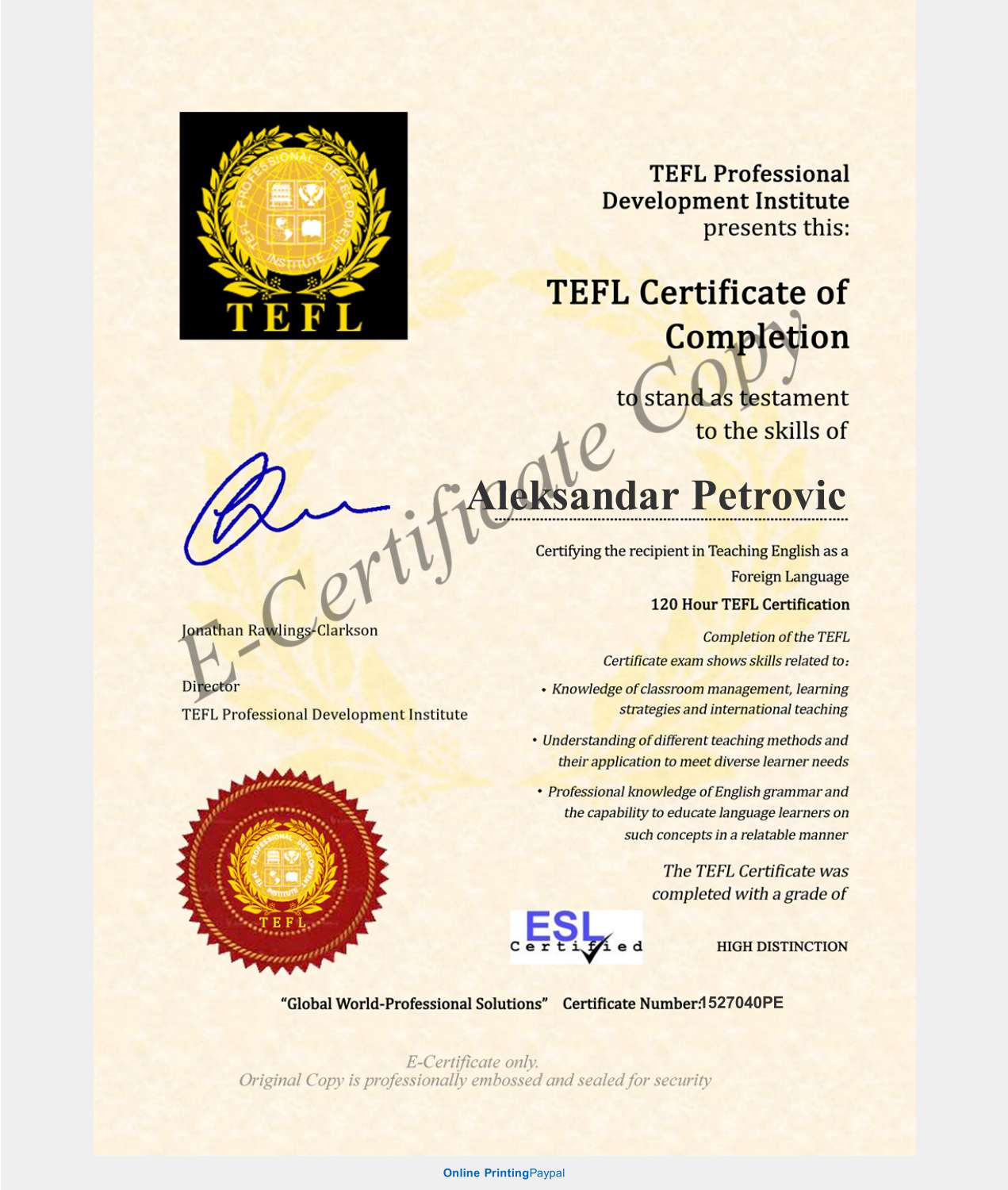 TEFL e-certificate Aleksandar Petrovic.pdf