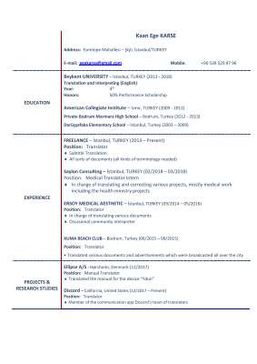 Kaan_Ege_Karse_CV.pdf