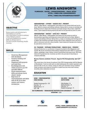 proffesional cv.pdf