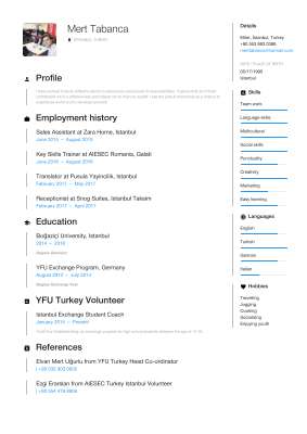 Mert Tabanca - CV.pdf