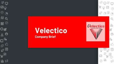 Velectico - Company Brief.pdf