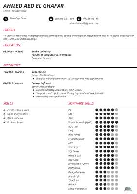 Ahmed_abd El Ghafar_CV.pdf