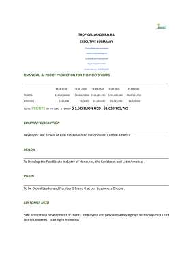 Executive Summary ....pdf