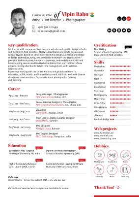 CV of Vipin Babu.pdf