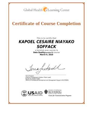 Global Health eLearning Center Certificate - Data Quality.pdf