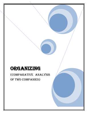 final project -Organizing.pdf