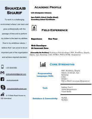 Shahzaib Web Developer.pdf