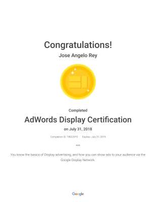 AdWords Display Certification_ Academy for Ads.pdf