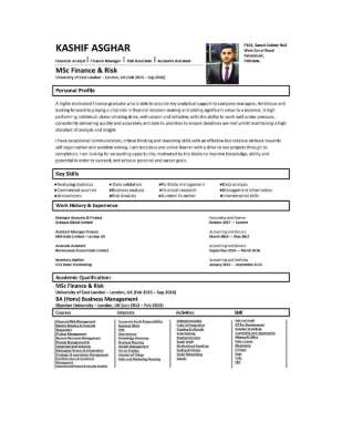 Kashif Asghar CV.pdf
